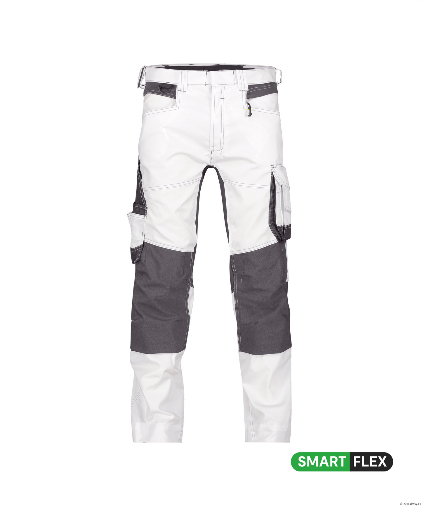 DASSY® Dynax Painters 201019